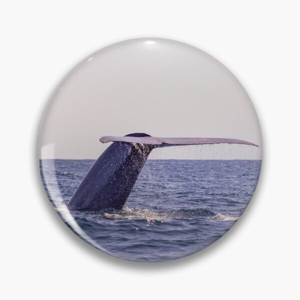 Item preview, Fluke of a Blue whale diving into the deep Atlantic, at Azores islands. designed and sold by AylaHarbich.
