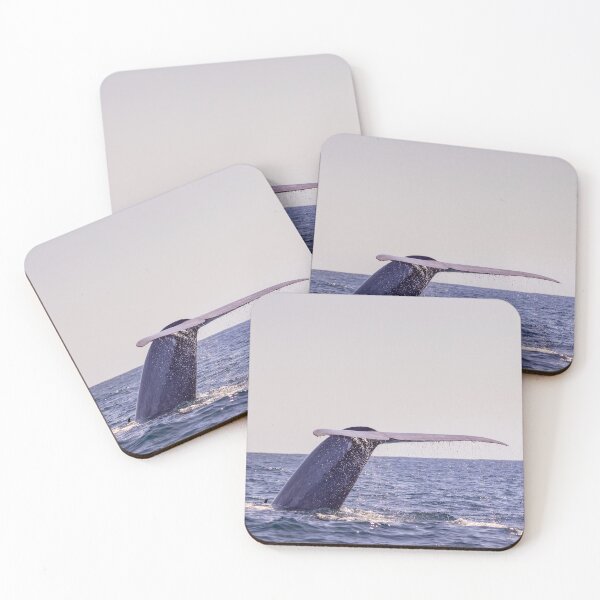 Item preview, Fluke of a Blue whale diving into the deep Atlantic, at Azores islands. designed and sold by AylaHarbich.