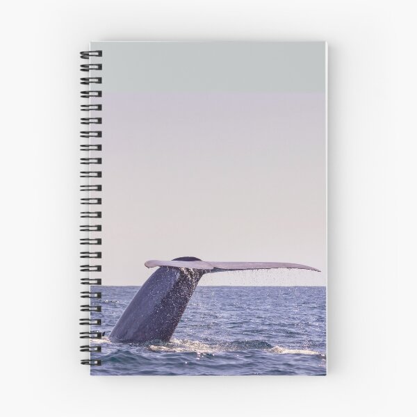 Item preview, Fluke of a Blue whale diving into the deep Atlantic, at Azores islands. designed and sold by AylaHarbich.