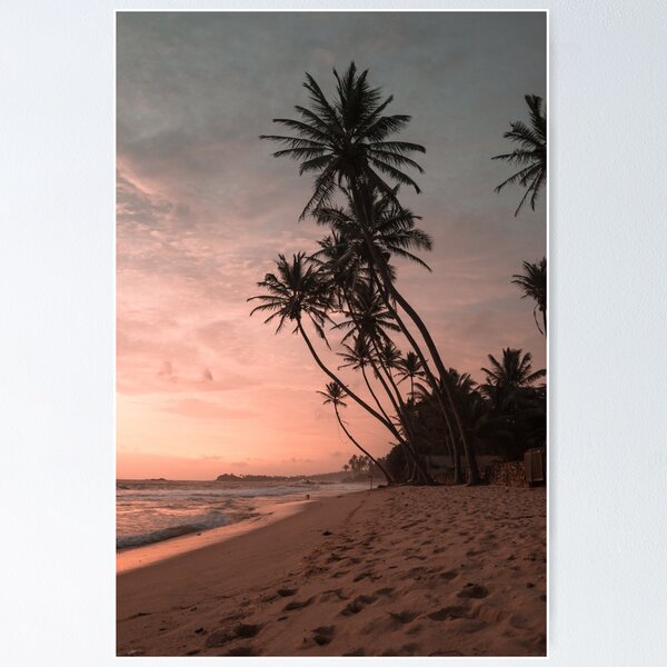Item preview, Palm Tree and Sunset designed and sold by Somisa028.