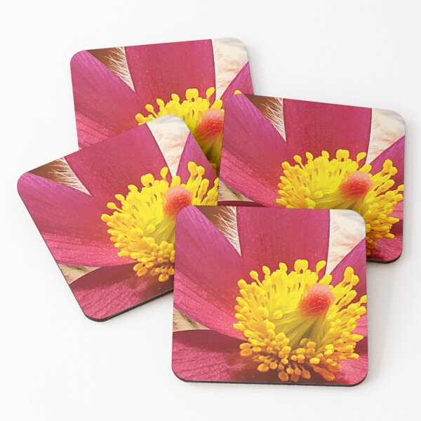 Item preview, Pulsatilla vulgaris designed and sold by angel1.