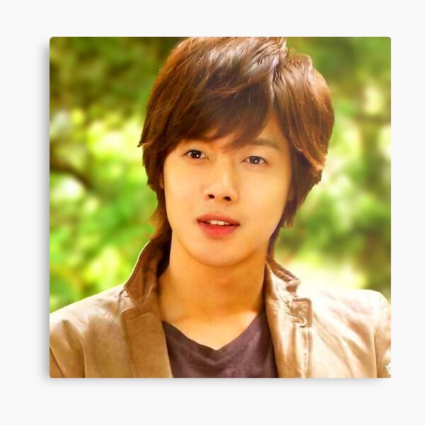 Ji Hoo (Boys Over Flowers) Lámina metálica