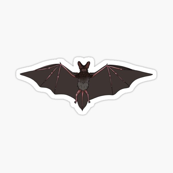 Item preview, Barbastelle Bat - British Wildlife Species designed and sold by FeraForus.