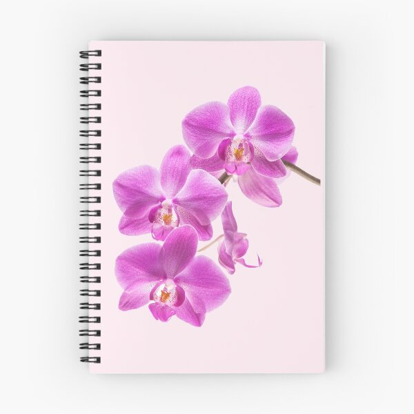 Item preview, April Showers Brings May Flowers designed and sold by sasijaya.
