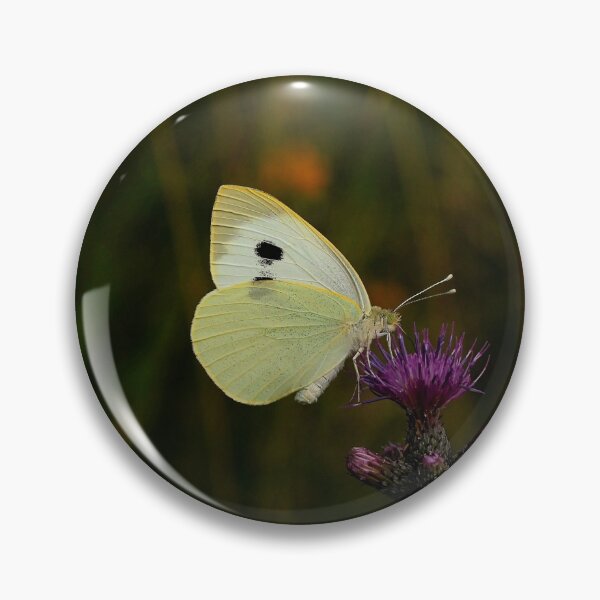 Item preview, Large cabbage white butterfly designed and sold by NW-Photo-Art.