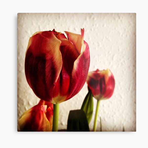 Flower Metal Print