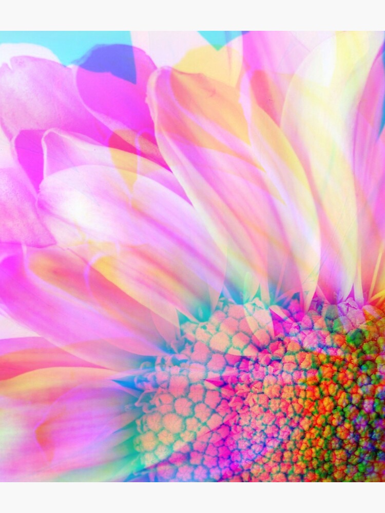 Neon Daisy by Risingphx