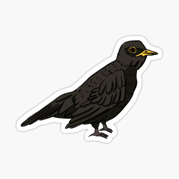 Item preview, Blackbird - British Wildlife Species designed and sold by FeraForus.