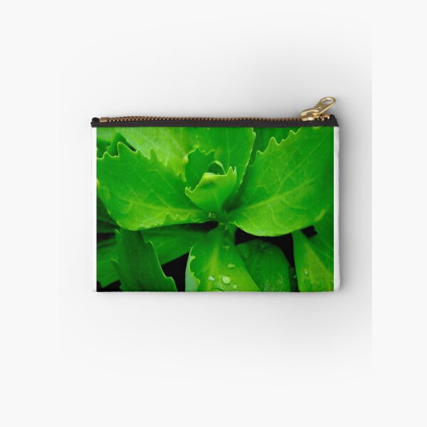 Item preview, Sedum designed and sold by snailmonger.