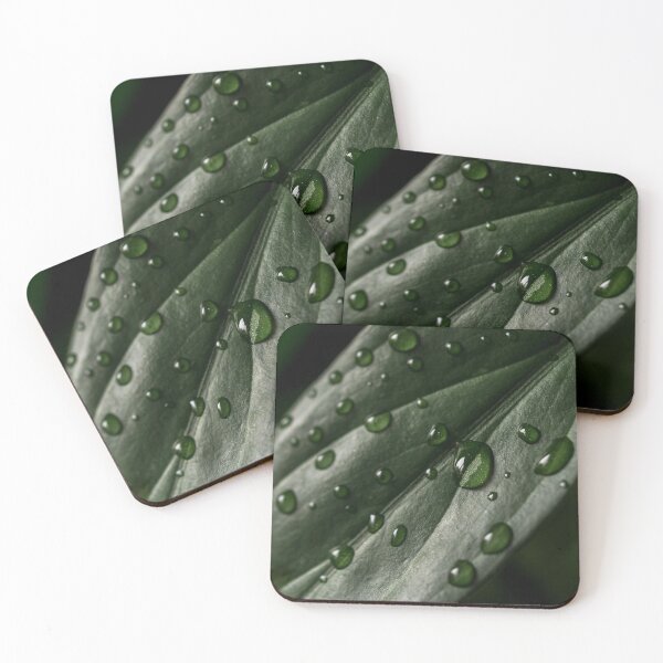 Item preview,  Water fall in drops on the leaf designed and sold by Ovrostore.