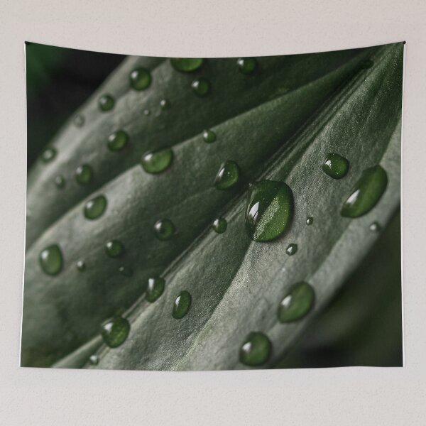 Item preview,  Water fall in drops on the leaf designed and sold by Ovrostore.