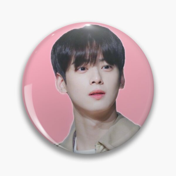 Pin on Cha eun woo