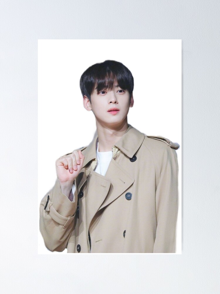 Cha eun woo astro member  Poster for Sale by Divya21