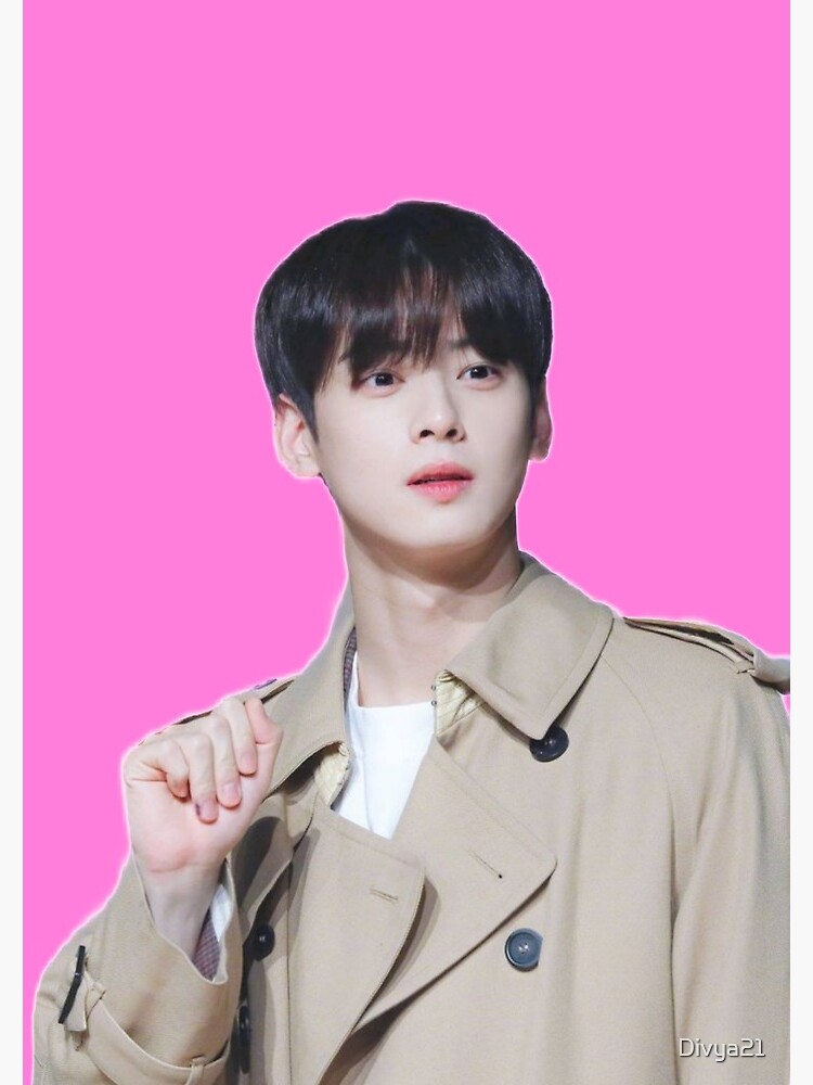 Cha eun woo astro member  Art Board Print for Sale by Divya21