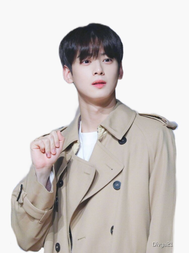 Cha eun woo astro member  Sticker for Sale by Divya21