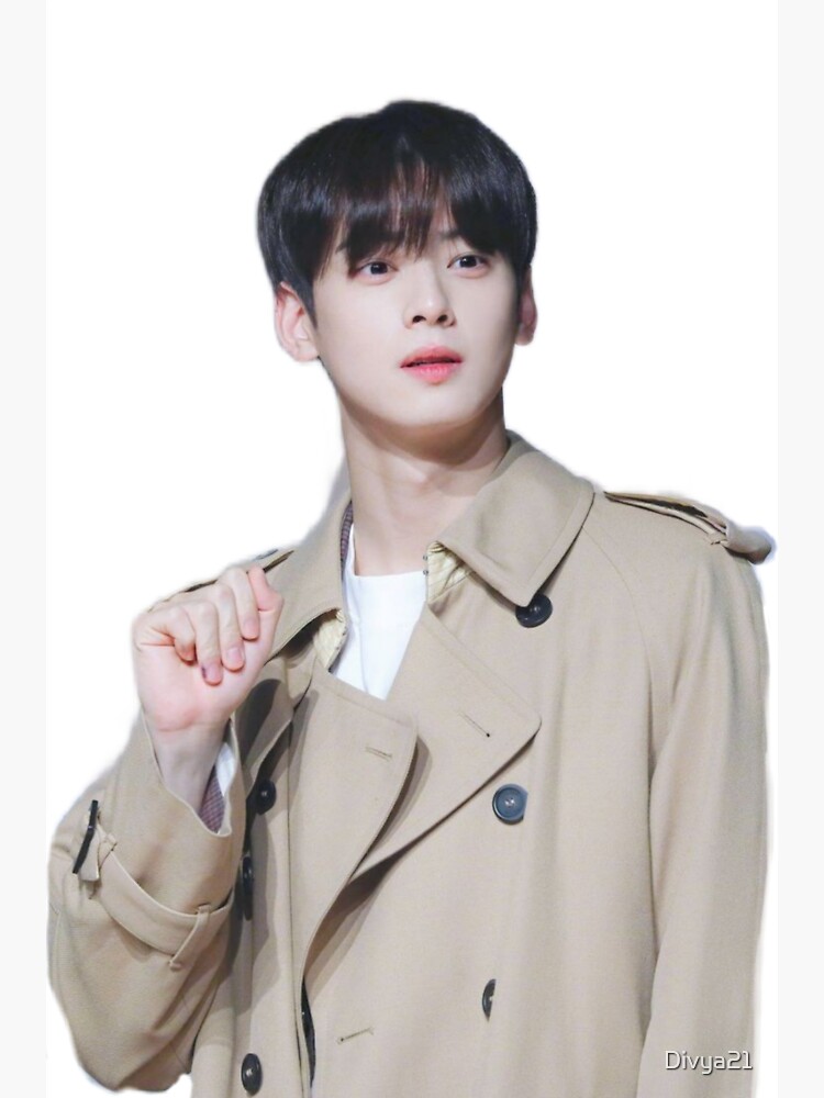 Cha eun woo astro Greeting Card for Sale by Divya21