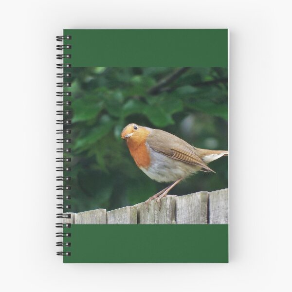 Item preview, Good Morning Mr. Robin ! designed and sold by TAMalloyPhoto.