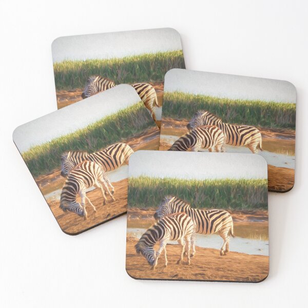 Item preview, Burchell's zebras, Addo Elephant National Park, South Africa designed and sold by Photopat.