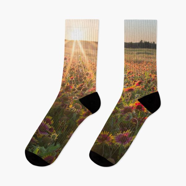Item preview, Sunset In a Field of Gaillardias designed and sold by Andy Heatwole.