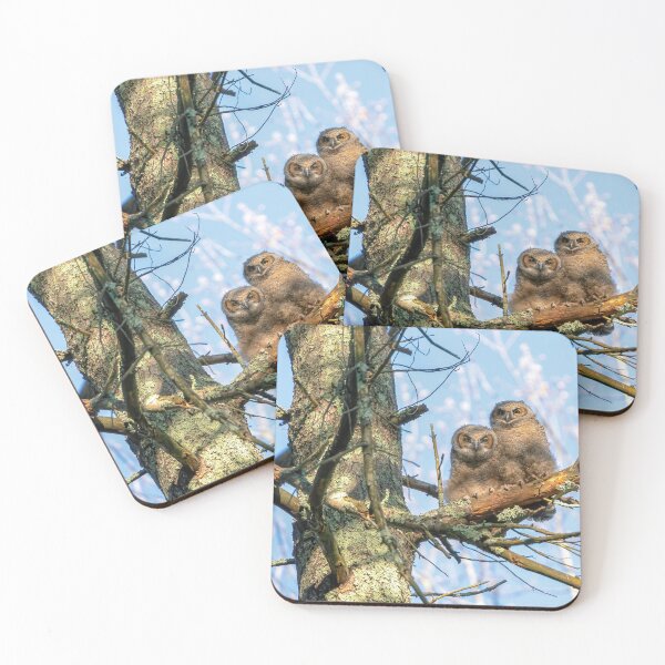 Item preview, A Pair of Great Horned Owlets designed and sold by Kevin Komiega.