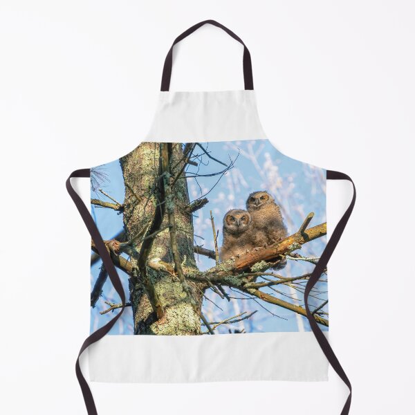 Item preview, A Pair of Great Horned Owlets designed and sold by Kevin Komiega.