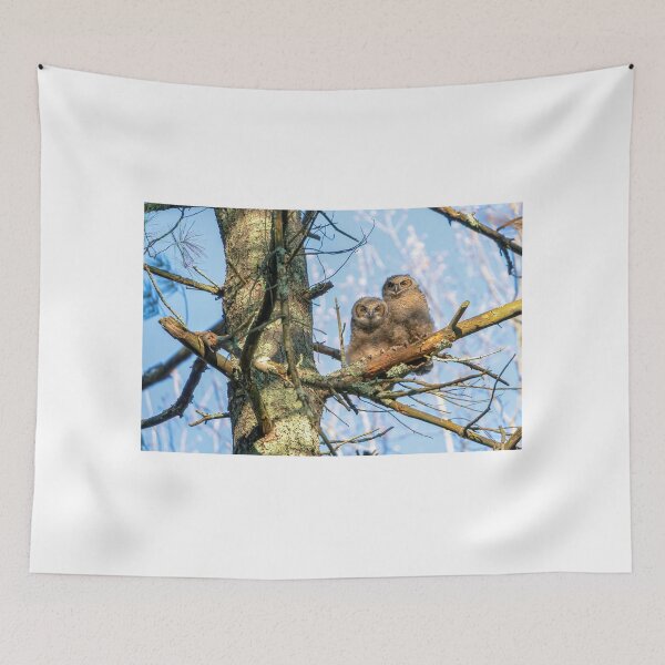 Item preview, A Pair of Great Horned Owlets designed and sold by Kevin Komiega.