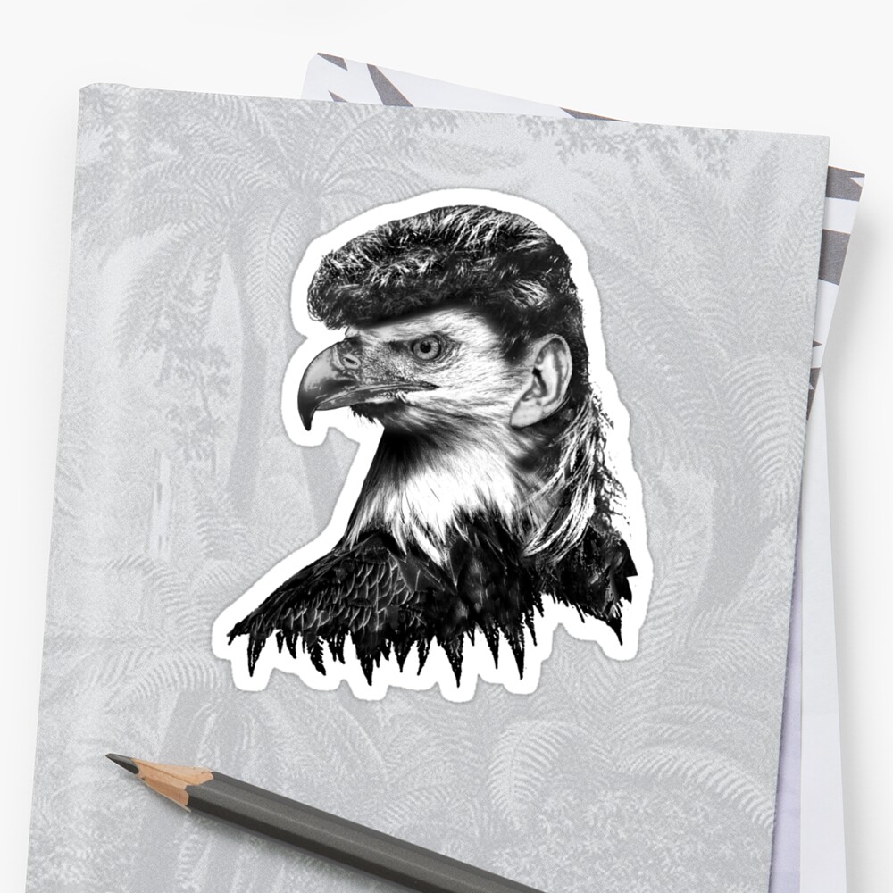 eagle with mullet