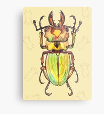 insect Metal Print