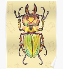 insect Poster