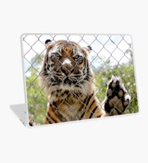 Sumatran Tiger Laptop Skin