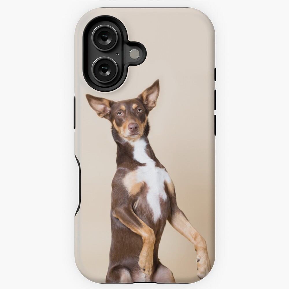 Basenji Phone Case Wallet Basenji Phone Case Wallet