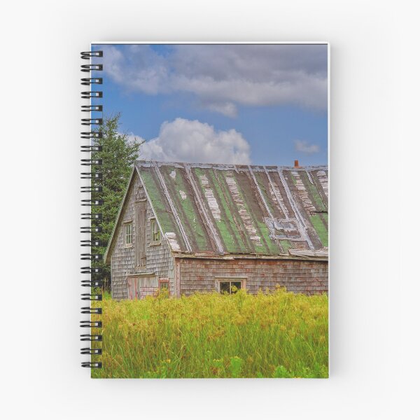 Item preview, Abandoned Barn in Feltzen South designed and sold by kenmo.