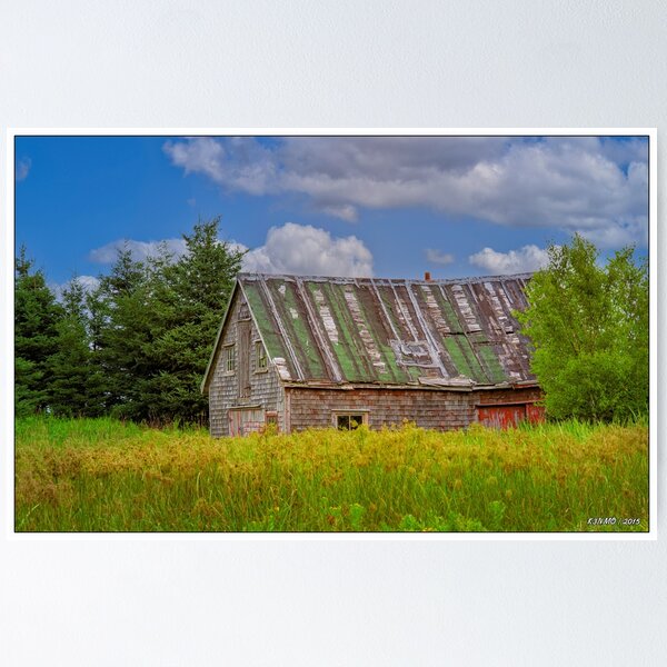 Item preview, Abandoned Barn in Feltzen South designed and sold by kenmo.