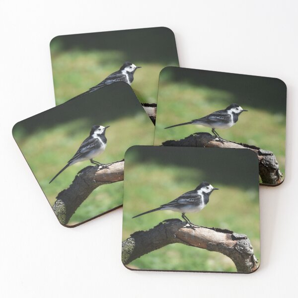 Item preview, Pied Wagtail  designed and sold by rwhooster.