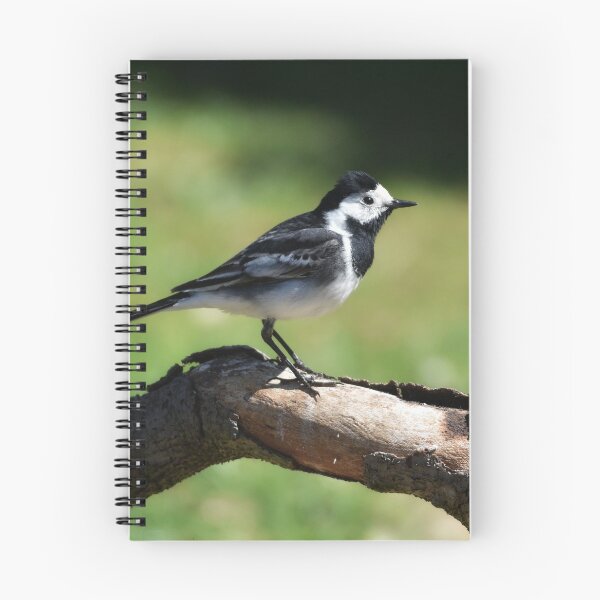 Item preview, Pied Wagtail  designed and sold by rwhooster.