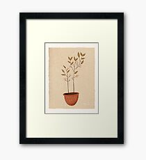 merak #1 Framed Print