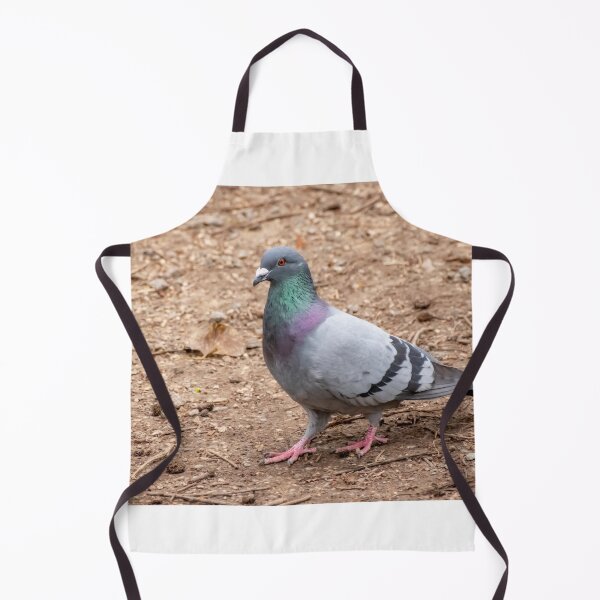 Item preview, Wood pigeon designed and sold by yackers1.