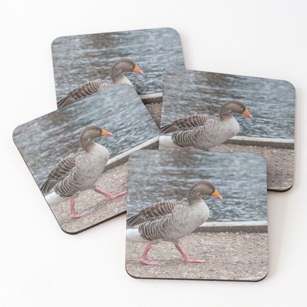Item preview, Greylag goose designed and sold by yackers1.
