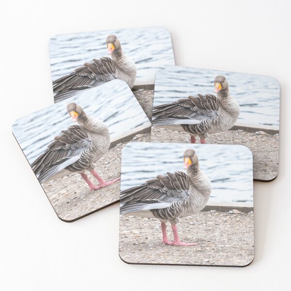 Item preview, Greylag goose on the River Bure designed and sold by yackers1.