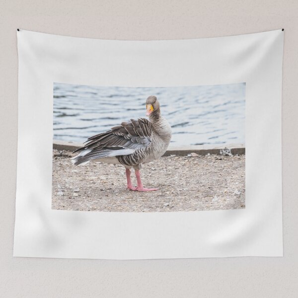Item preview, Greylag goose on the River Bure designed and sold by yackers1.