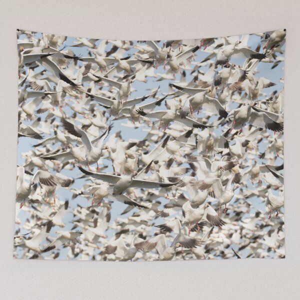 Item preview, Snow Geese Migration Photo, a flock in flight. designed and sold by montanaartist.