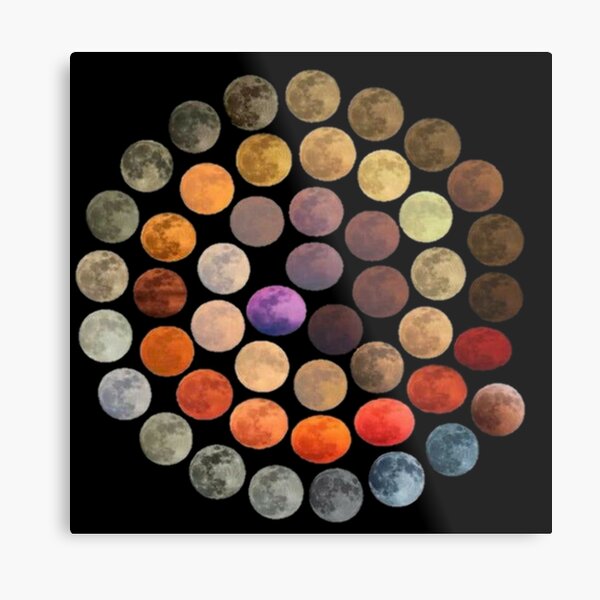 48 real colors of the mon Metal Print