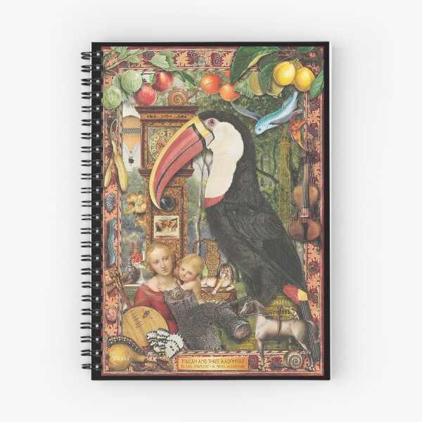 Item preview, Toucan and Three Madonnas designed and sold by RickHillDesign.