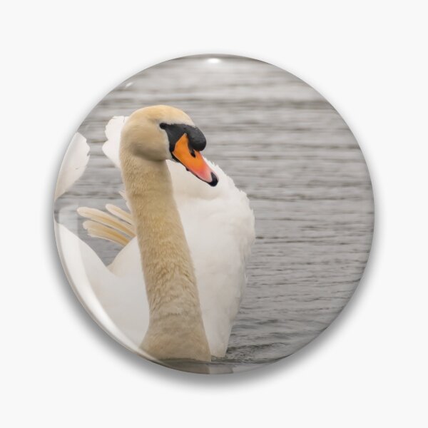 Item preview, Mute swan swimming designed and sold by yackers1.