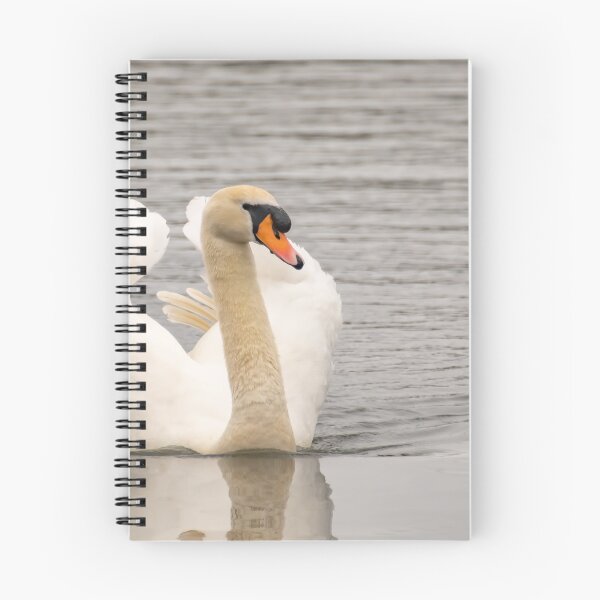 Item preview, Mute swan swimming designed and sold by yackers1.