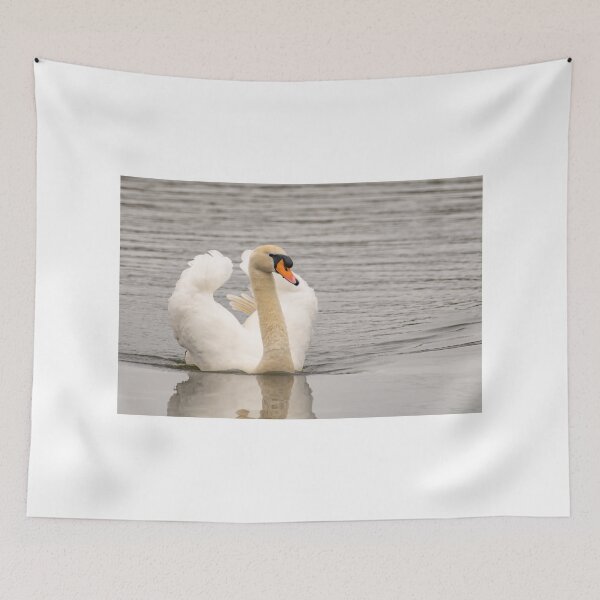 Item preview, Mute swan swimming designed and sold by yackers1.