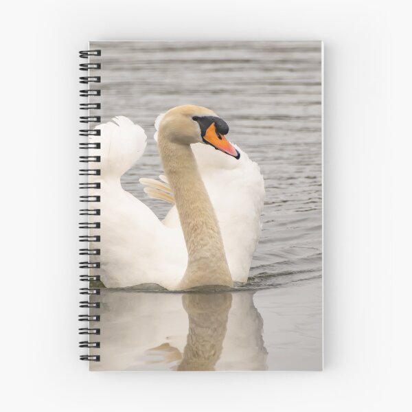 Item preview, Mute swan swimming, Norfolk Broads designed and sold by yackers1.