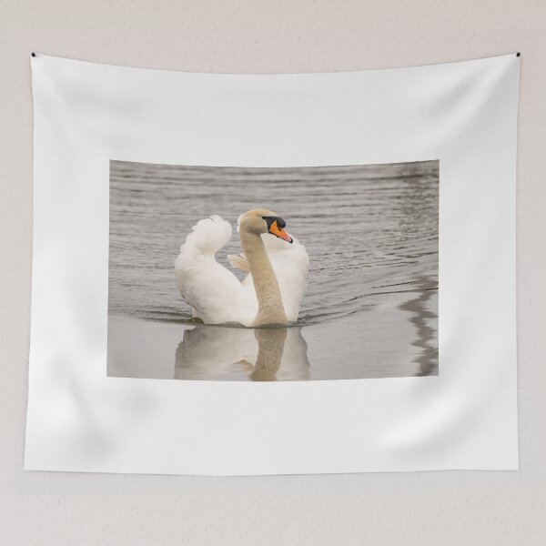 Item preview, Mute swan swimming, Norfolk Broads designed and sold by yackers1.