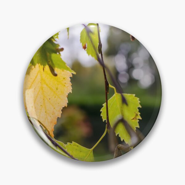 Item preview, Green and yellow autumn birch leaves designed and sold by lena-maximova.
