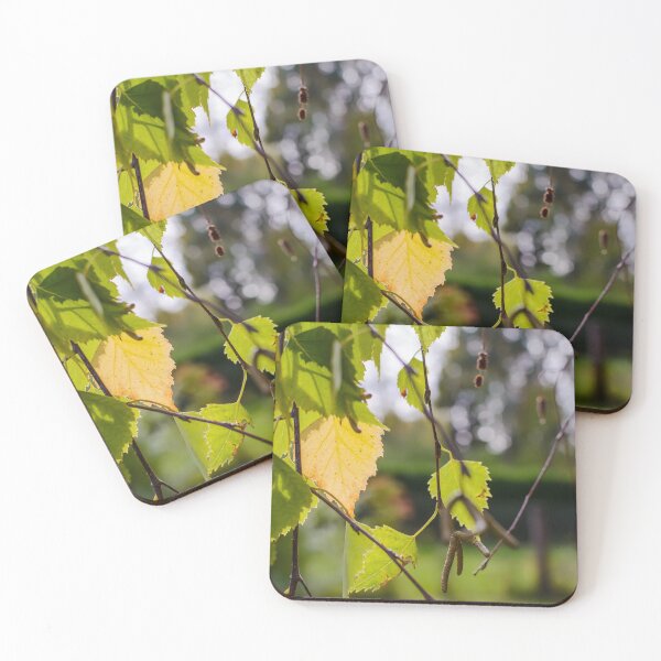 Item preview, Green and yellow autumn birch leaves designed and sold by lena-maximova.